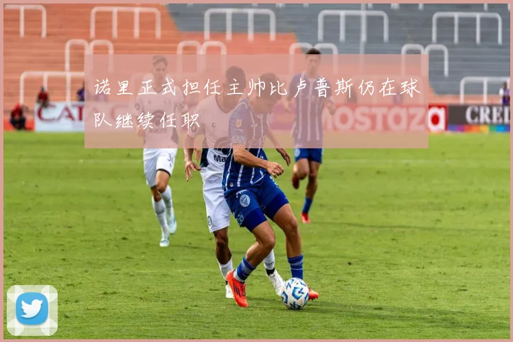 诺里正式担任主帅比卢普斯仍在球队继续任职