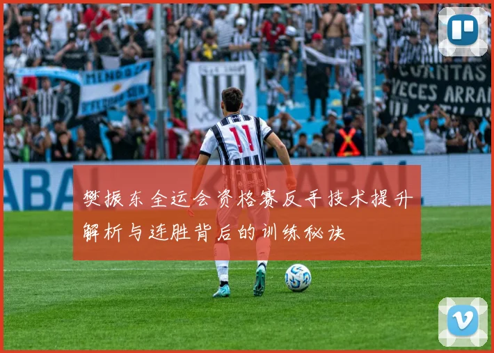 樊振东全运会资格赛反手技术提升解析与连胜背后的训练秘诀